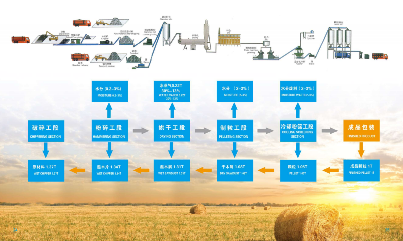 V体育宣传册_13 - 副本.png